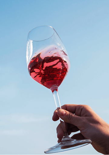 千葉市初となる「オール千葉市産」ワインが誕生
